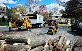 Best Mulching Services  in Middleport, NY