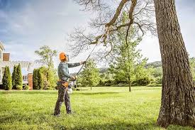 Best Lot and Land Clearing  in Middleport, NY
